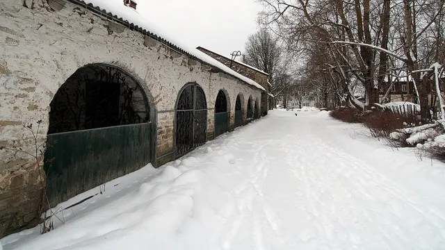 Санкт-Петербург — Сельцо