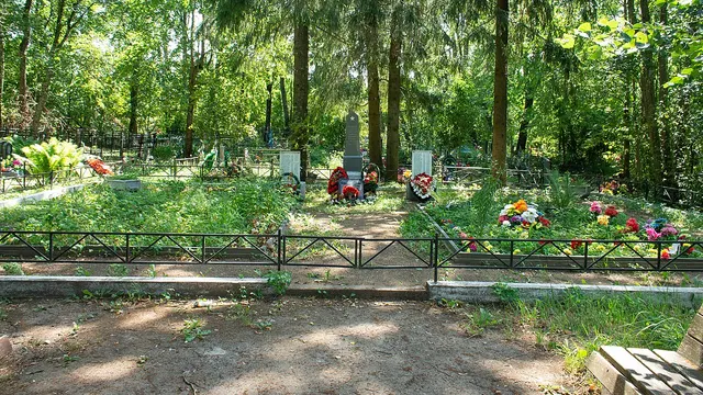 Санкт-Петербург — Зимитицы